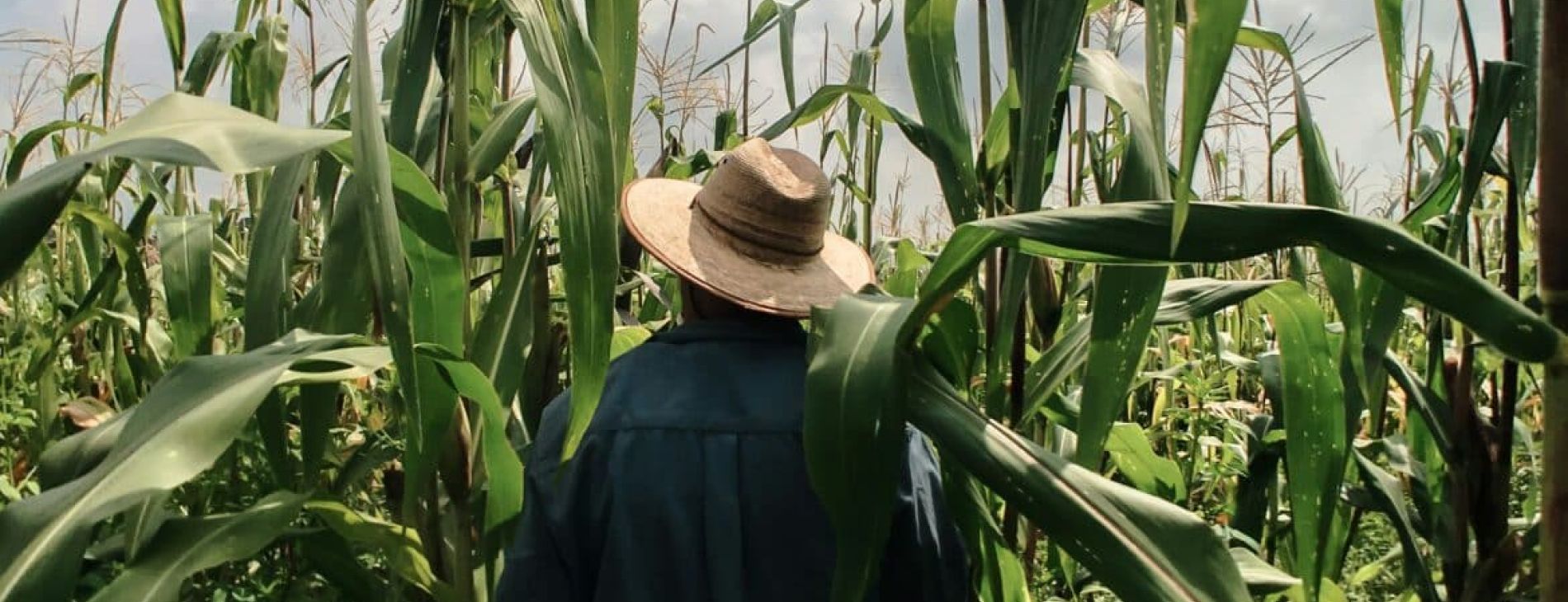 erik oHSmhHK BB0 unsplash 1170x464 1 048b2d45