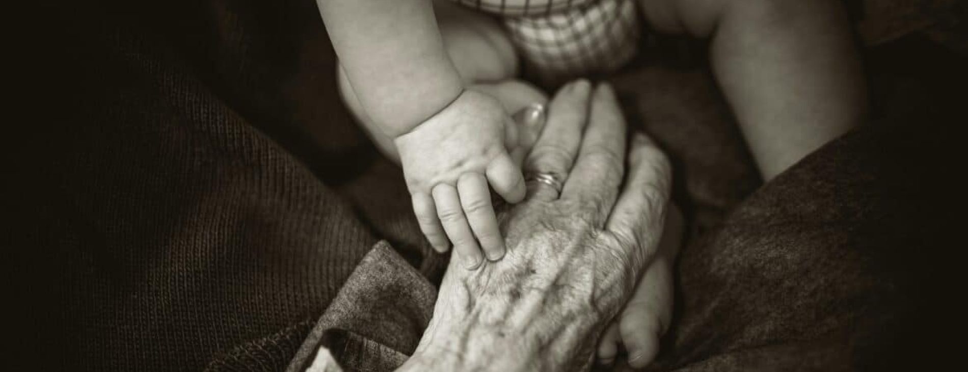 rod long y0OAmd COUM unsplash 1170x464 1 23fce9d8