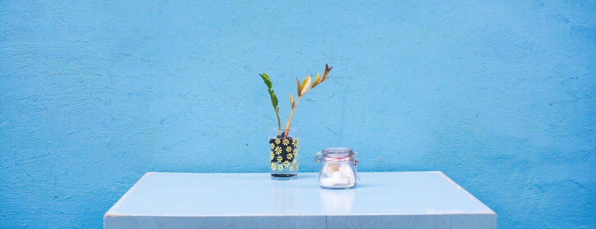 pexels photo 294851 4 25385649