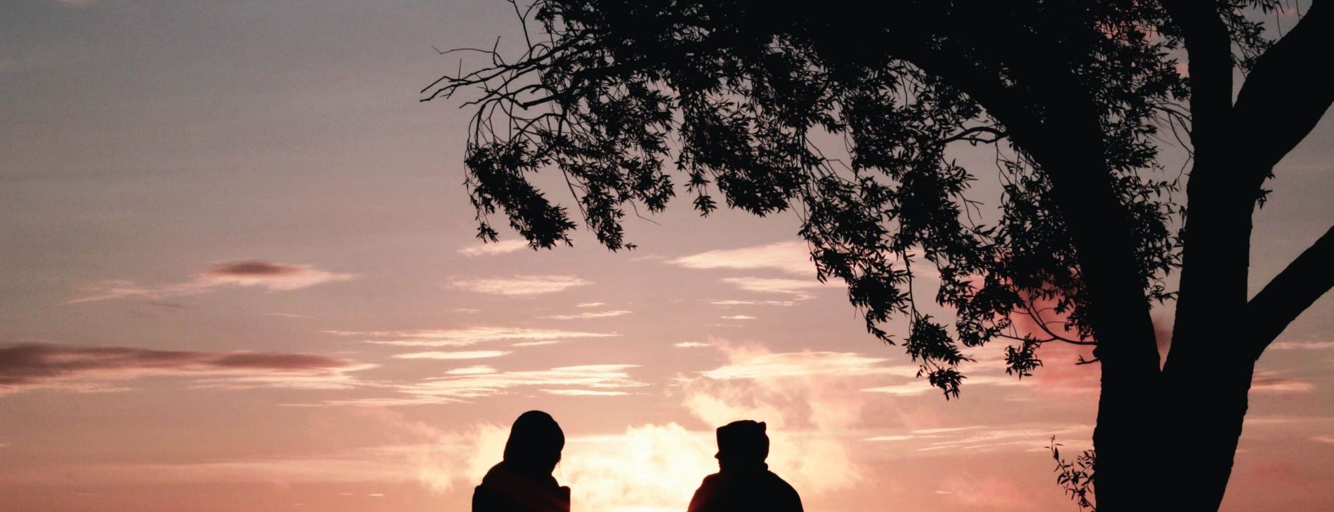 harli marten M9jrKDXOQoU unsplash scaled 29f4c051