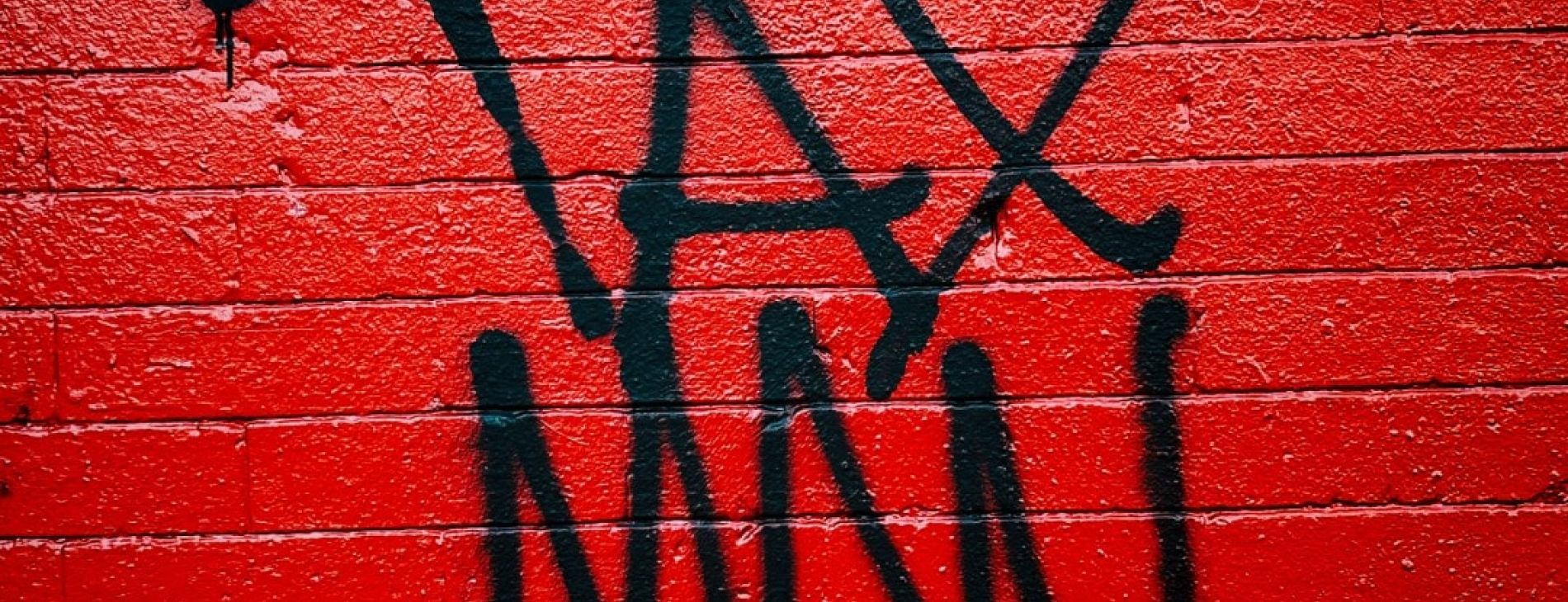 My project 15 2a64e2e6