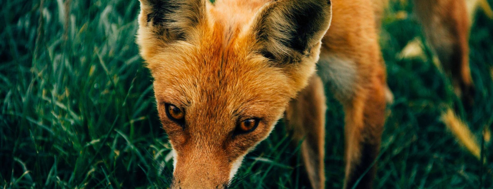 kyle glenn hM9ARKBcy4U unsplash 1 scaled 7d8151a2