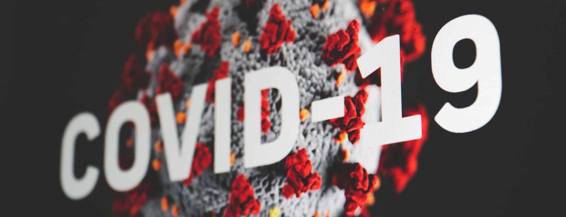 martin sanchez Tzoe6VCvQYg unsplash scaled 1 d49a1aa6