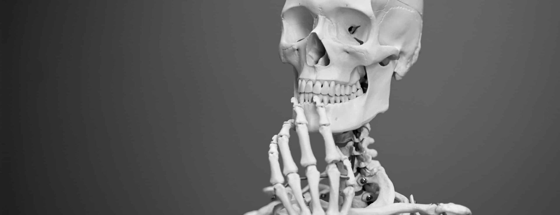 mathew schwartz 8rj4sz9YLCI unsplash scaled dae99438