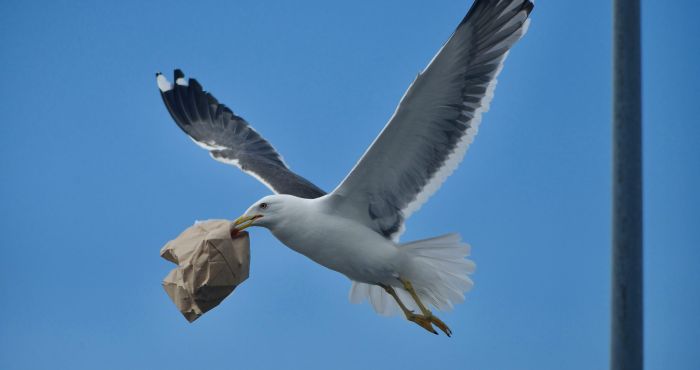 oskar holm e7ZuyidGtKQ unsplash scaled 06112fcd
