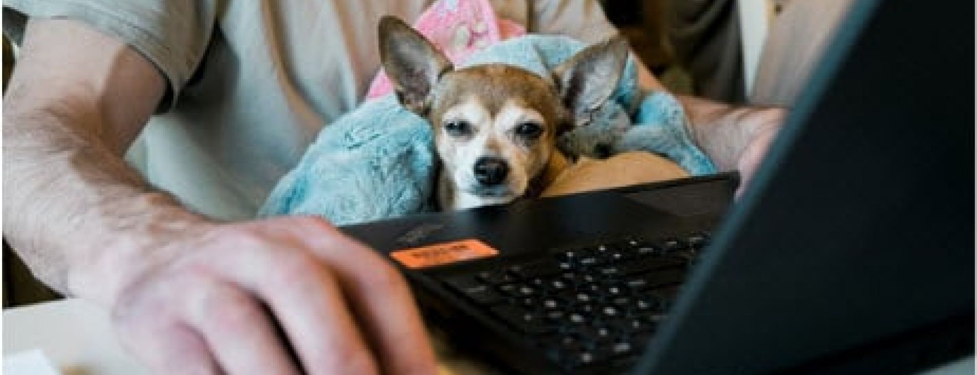 The demise of paper tax returns 1 Blog6 08b45e05