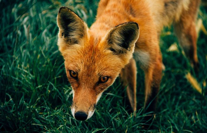 kyle glenn hM9ARKBcy4U unsplash 1 scaled 088059d2