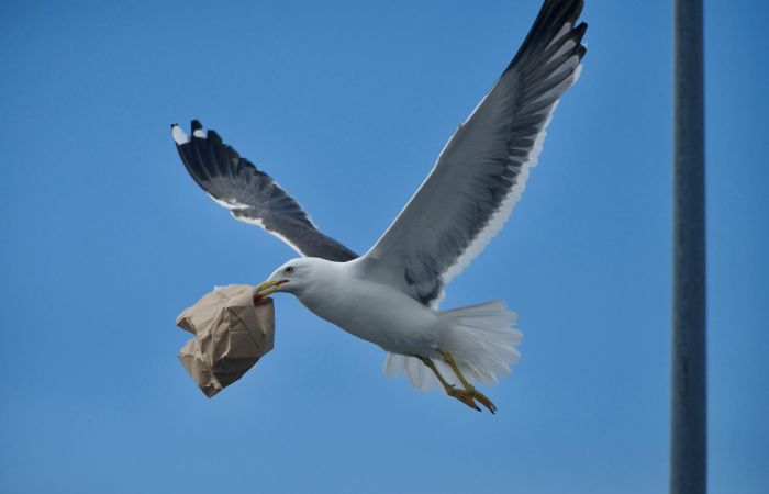 oskar holm e7ZuyidGtKQ unsplash scaled 2815922c
