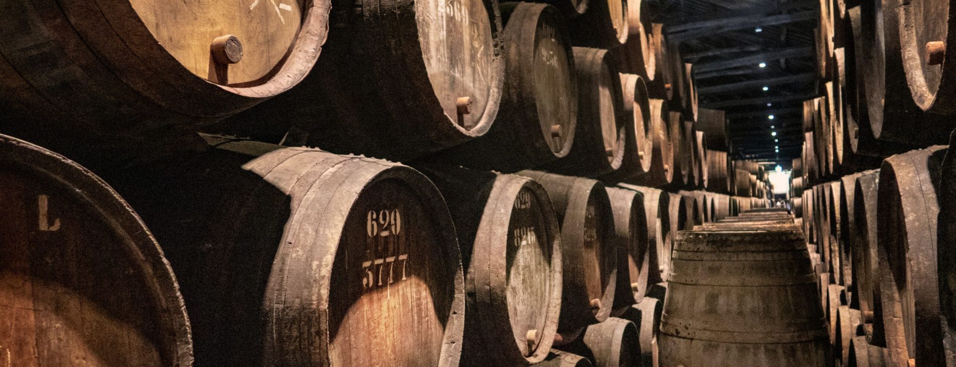 Apprenticeship levy transfers simplified in England 1 svetlana gumerova nZVjwM1xWU0 unsplash scaled 2ee5bec8