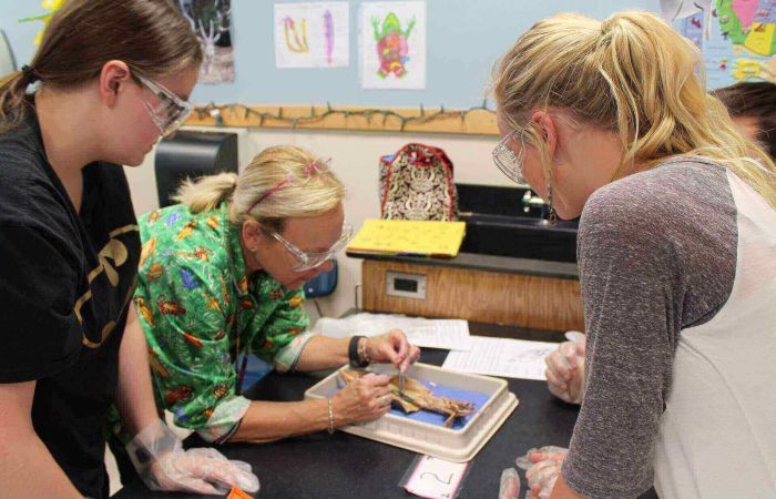 science 1121481 19201 4 351aa727