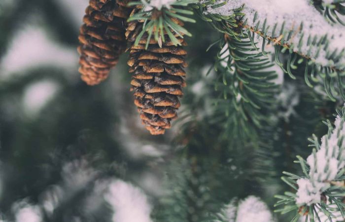 aaron burden cGW1w qLix8 unsplash scaled 1 395f19cc