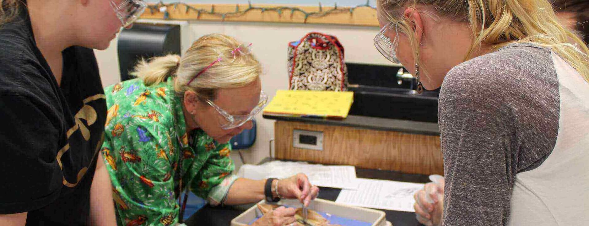 The increasing cost of incorporating a company 1 science 1121481 19201 4 3c3ec230