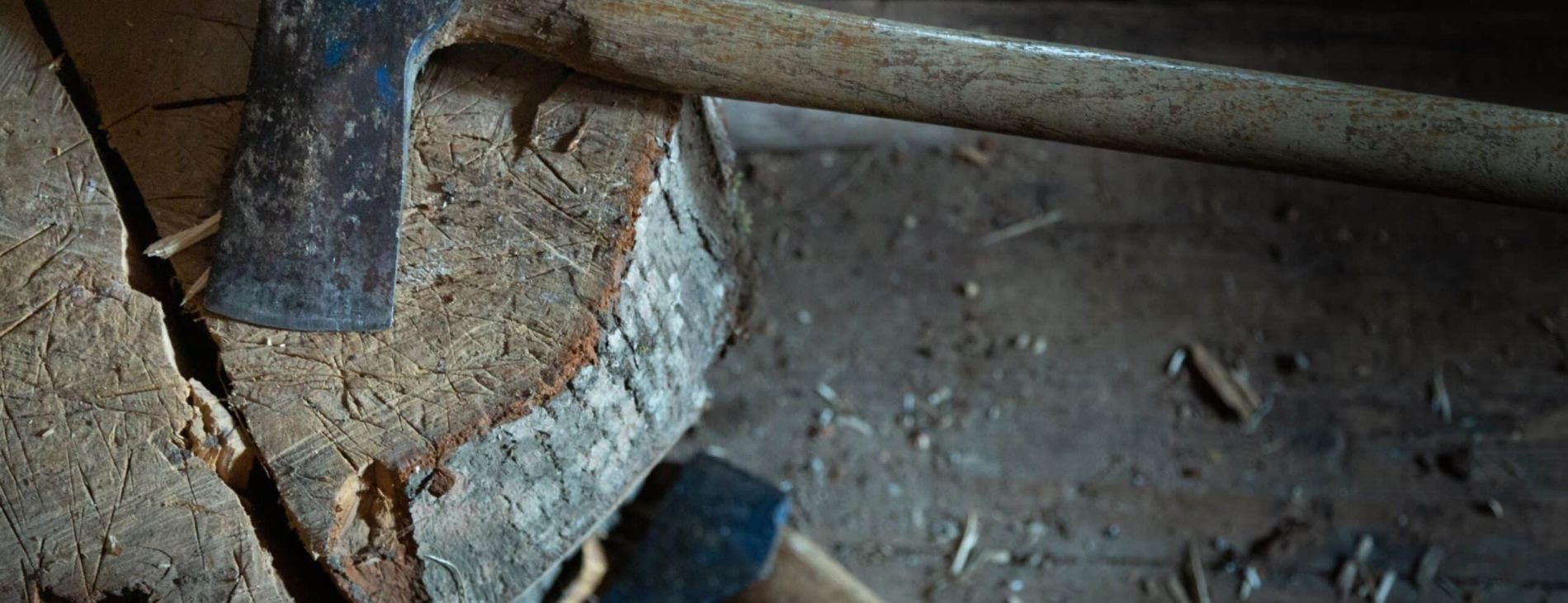 Neglected Child Trust Funds lying unclaimed 1 christian kielberg dFf AaTAoME unsplash scaled 401ec12c