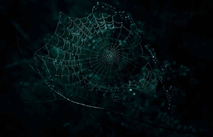 wyxina tresse psEIBanBUsA unsplash scaled 4ad5055f