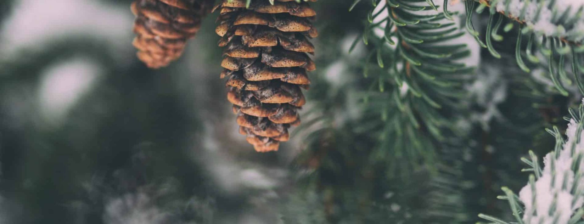 Cash basis reform: potential turnover threshold changes 1 aaron burden cGW1w qLix8 unsplash scaled 1 506b2e79