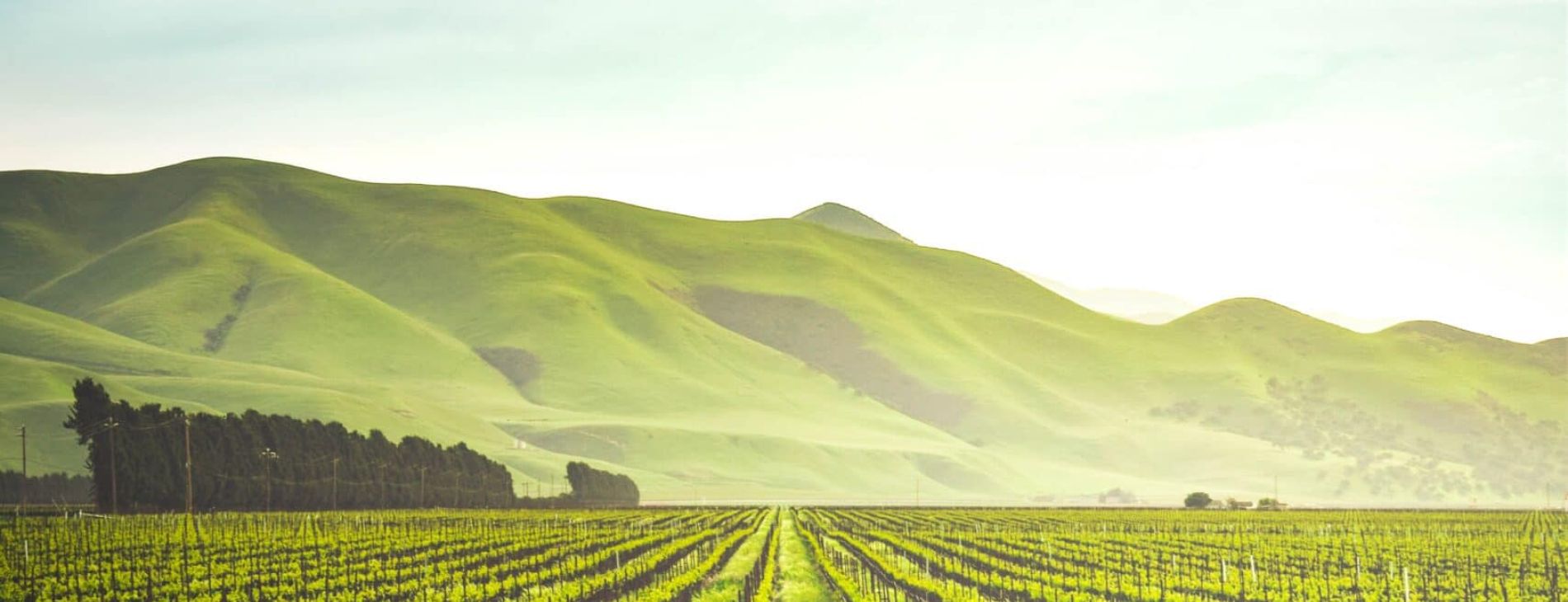 HMRC: Clarification on tax rules with regards to the lockdown and company car taxation 1 adele payman 2oYMwuFgnTg unsplash scaled 5b96ee83