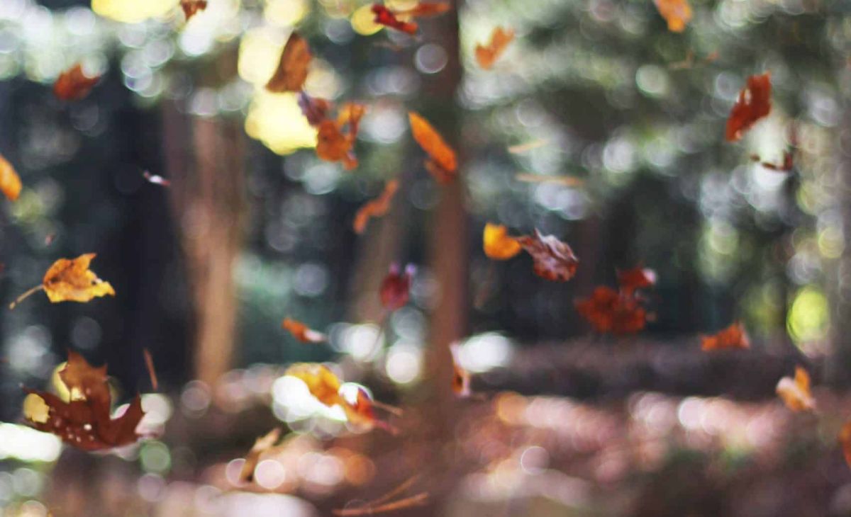 autumn mott rodeheaver SPd9CSoWCkY unsplash scaled 1 6194afac