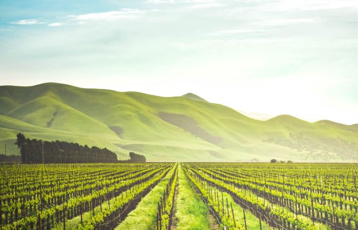 adele payman 2oYMwuFgnTg unsplash scaled 67ed830c