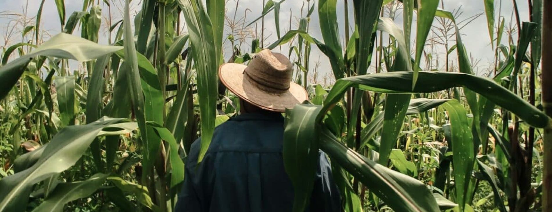 More detail on business and agricultural IHT reliefs threshold cut 1 erik oHSmhHK BB0 unsplash 1170x464 1 7dac9c5b