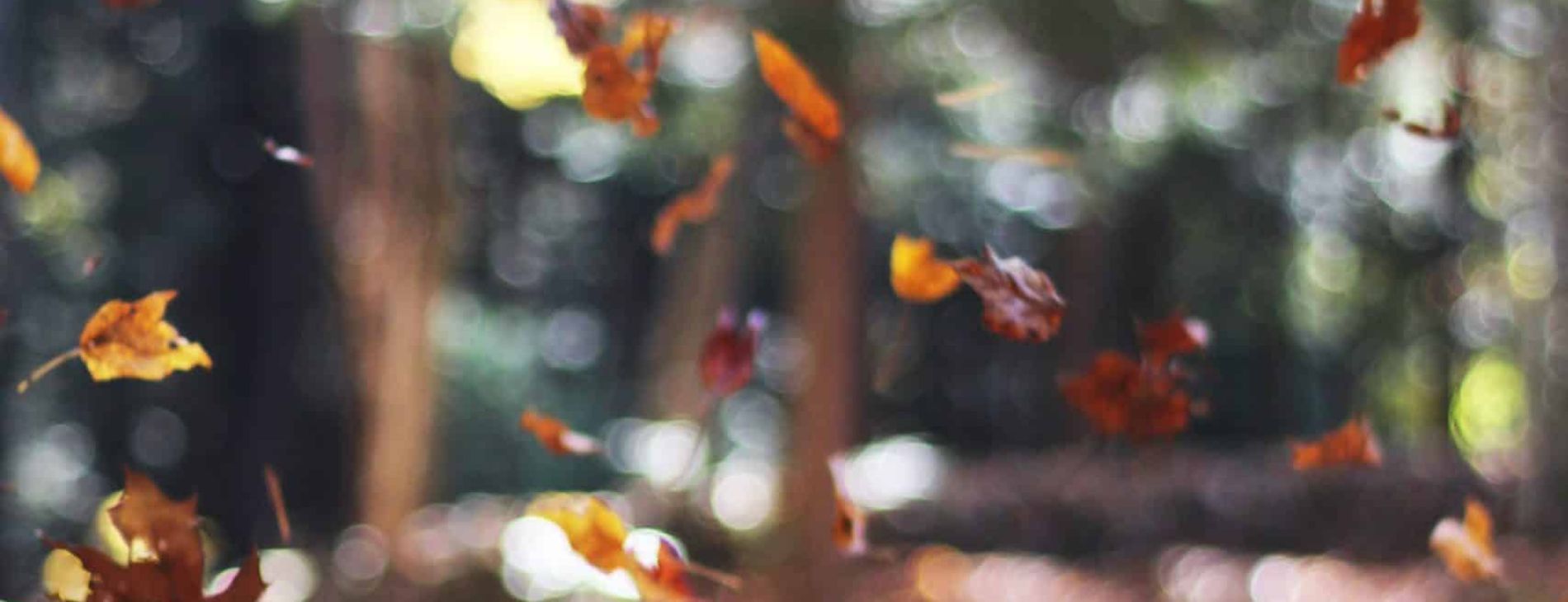 autumn mott rodeheaver SPd9CSoWCkY unsplash scaled 1 8a604d71