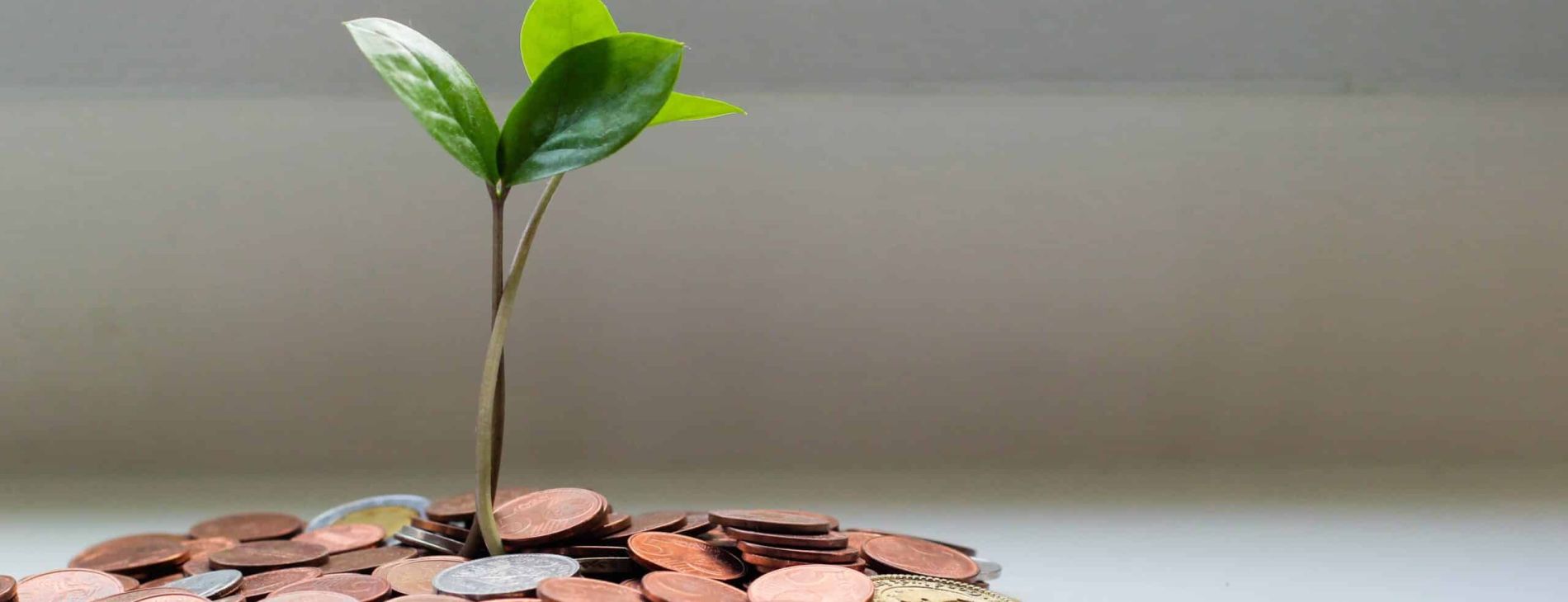 Time To Pay? New VAT Late Payment Penalties 1 micheile henderson lZ 4nPFKcV8 unsplash scaled 9a952150