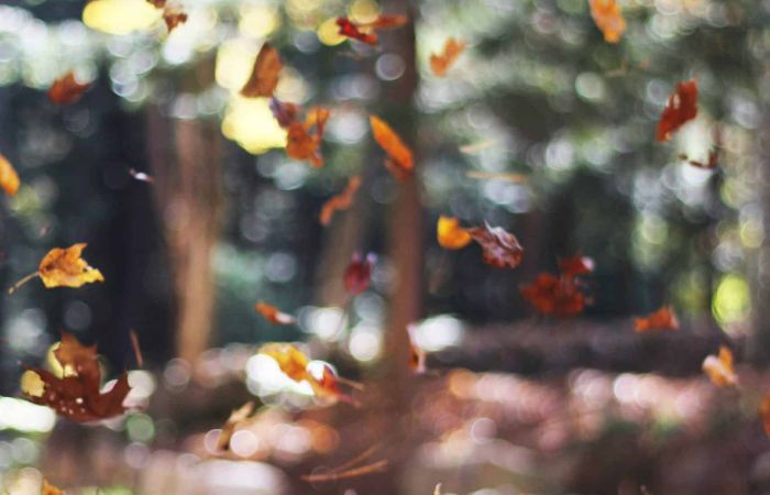 autumn mott rodeheaver SPd9CSoWCkY unsplash scaled 1 c4318ff0