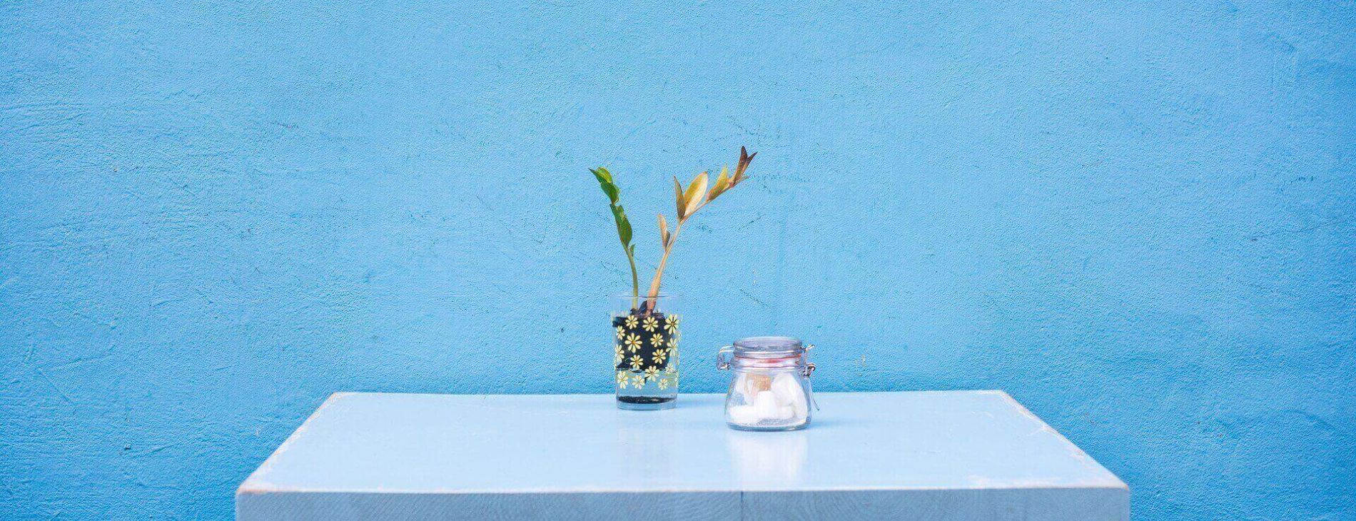 Company insolvencies on an upward trend 1 pexels photo 294851 4 cfc29741