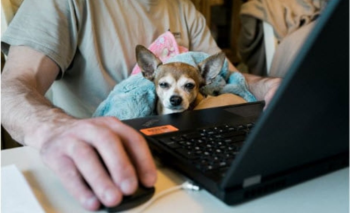 The demise of paper tax returns 1 Blog6 dce448f1